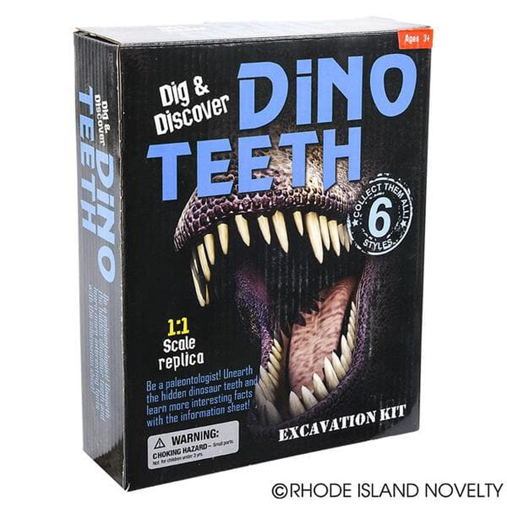 The Toy Network-Dinosaur Teeth Excavation Kit-AM-EXDTE-Legacy Toys