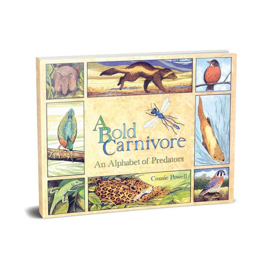 Legacy Bound-A Bold Carnivore-LBP2407-Hardcover-Legacy Toys