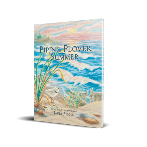 Legacy Bound-Piping Plover Summer-LBP2313-Softcover-Legacy Toys