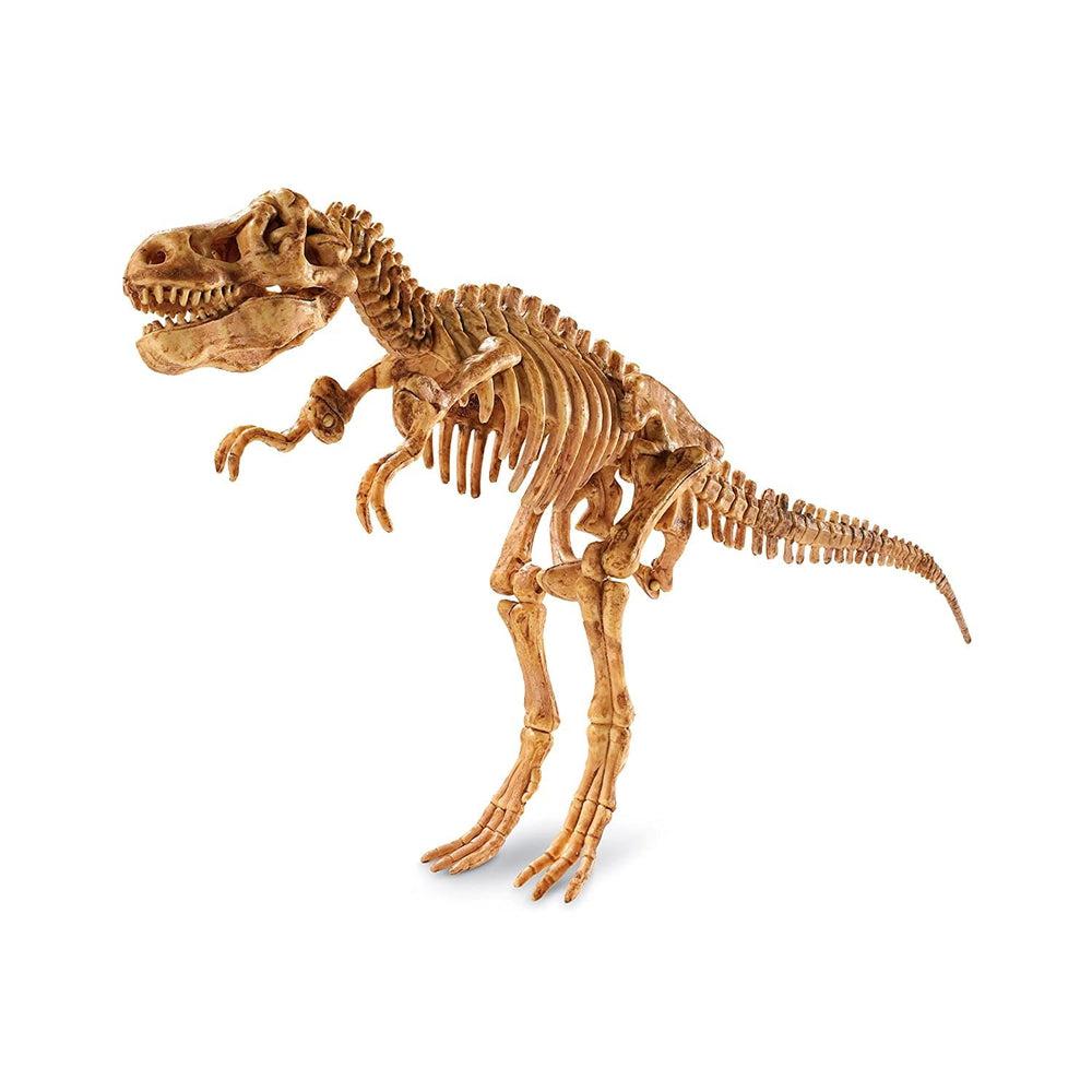MindWare-Dig It Up!: Tyrannosaurus Rex-68412-Legacy Toys