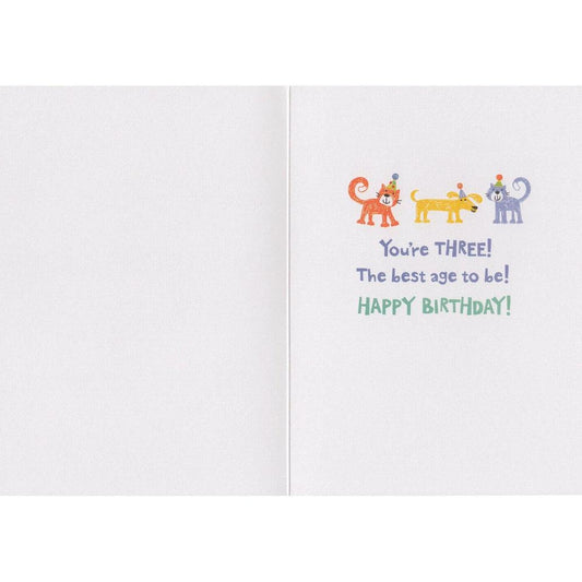 Peaceable Kingdom-Age 3 Pattern Foil Card-5182G-Legacy Toys