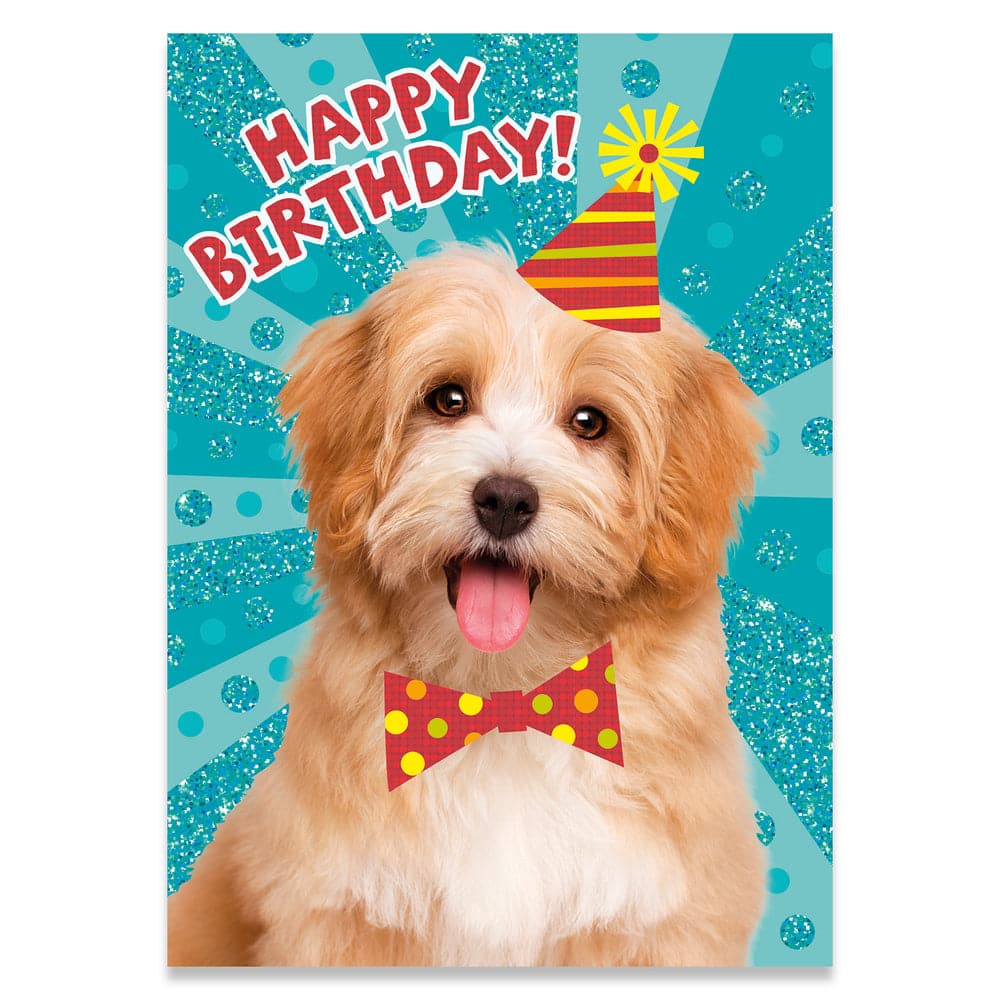 Peaceable Kingdom-Glitter Dog with Party Hat Birthday Card-11495-Legacy Toys