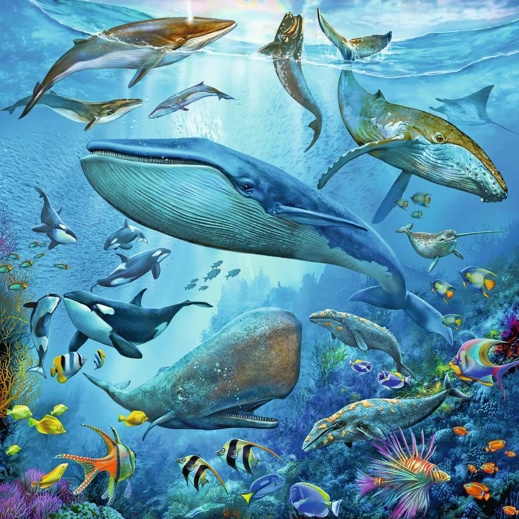 Ravensburger-Animal World of the Ocean - 3x49 Piece Puzzle-5149-Legacy Toys