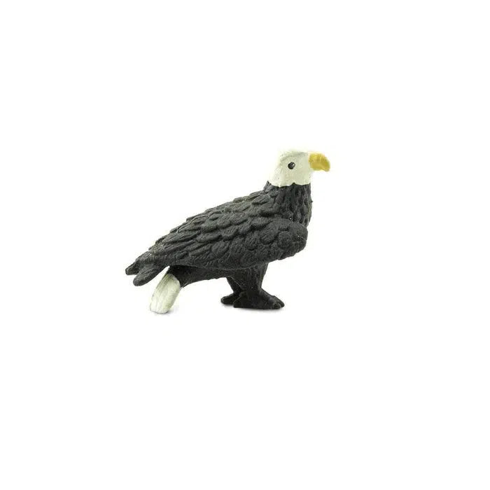 Safari Ltd Harpy Eagle : : Toys & Games