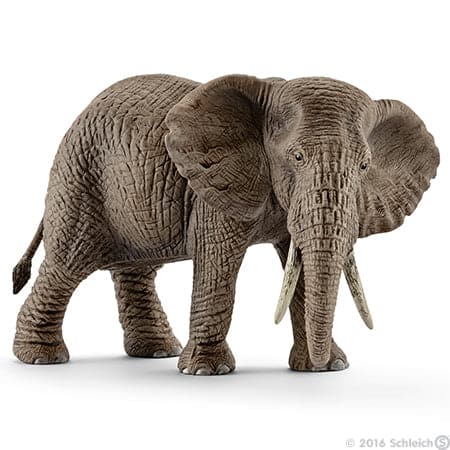 Schleich-African Elephant, Female 2024-14761 - 2-Legacy Toys