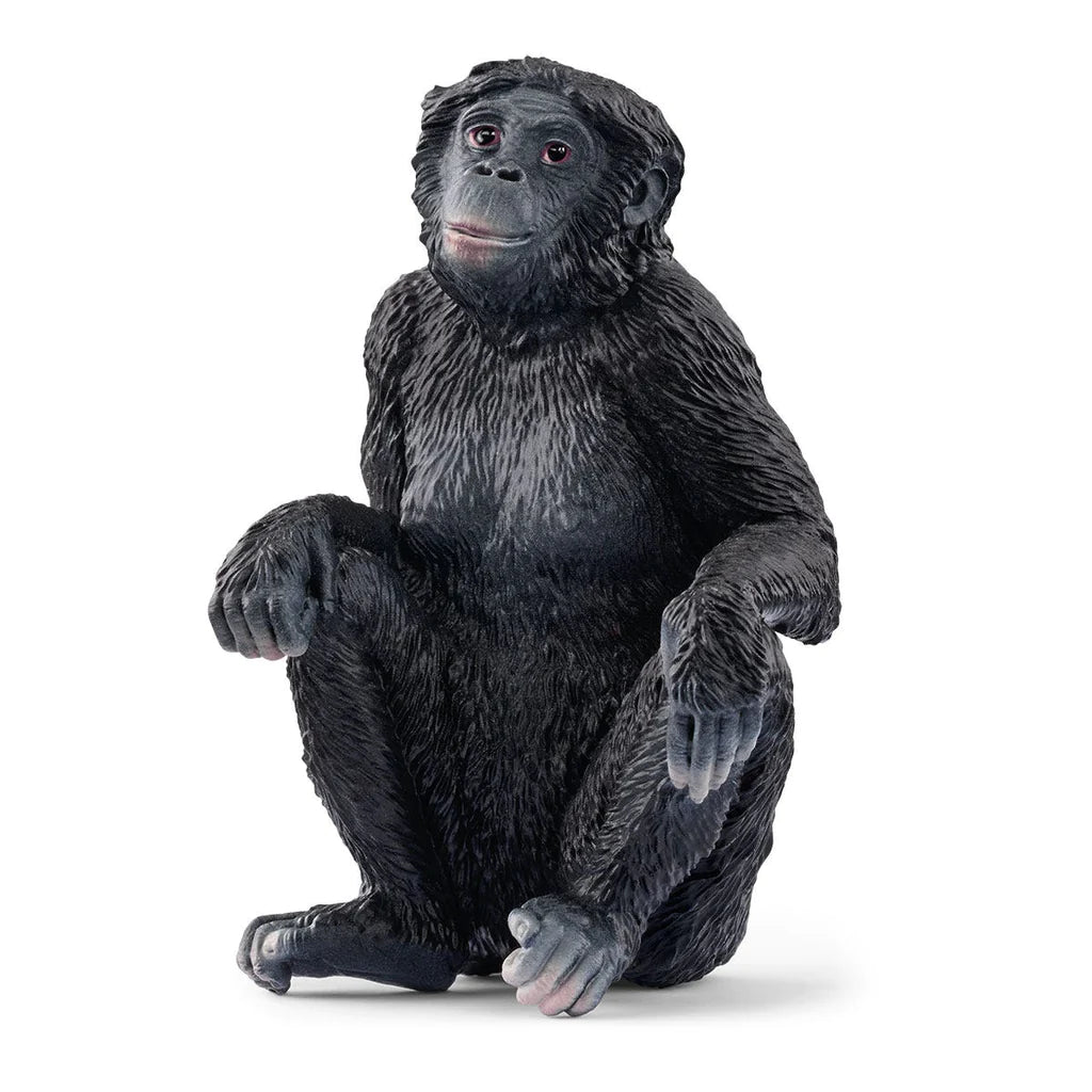 Schleich-Bonobo Female-14875-Legacy Toys