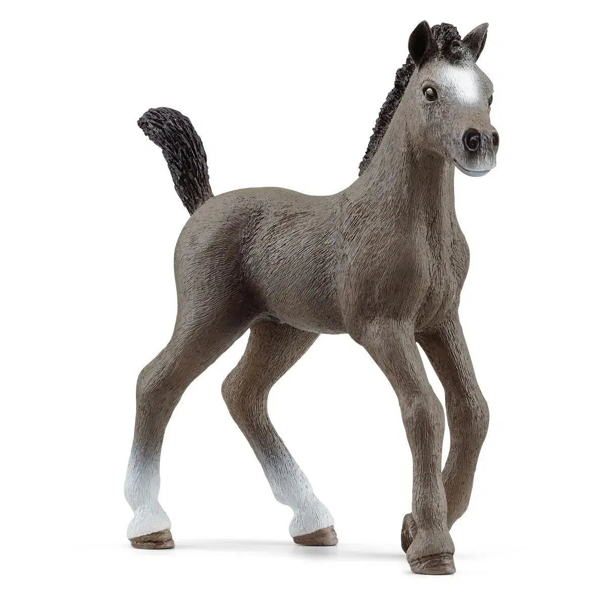 Schleich-Cheval de Selle Francais Foal-13957-Legacy Toys