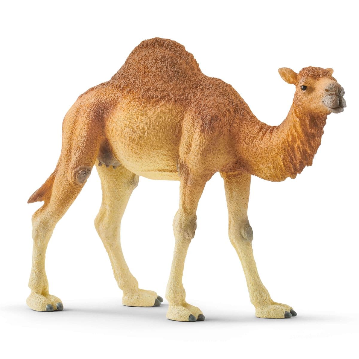 Schleich-Dromedary-SC14832-Legacy Toys