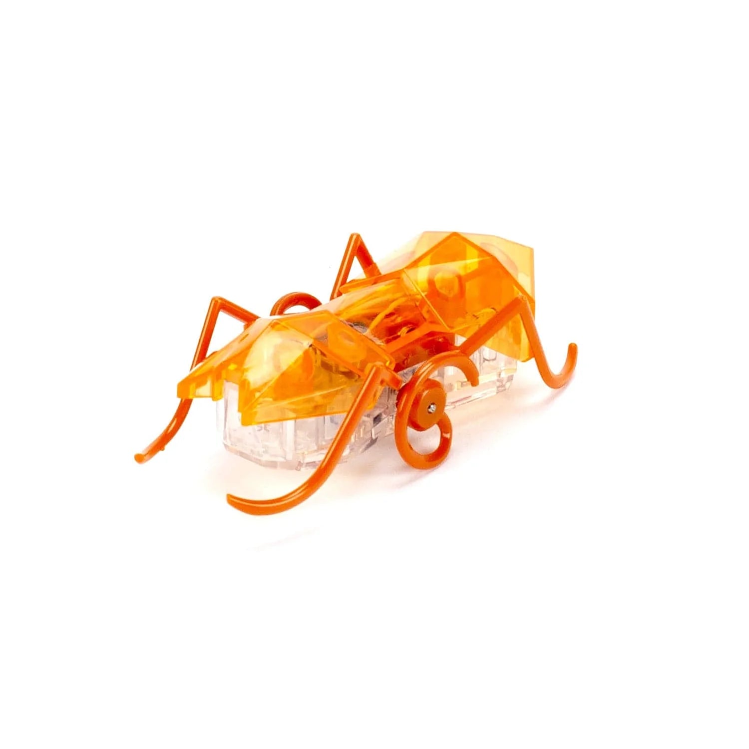Spin Master-Hexbug Micro Ant - Orange-20146164-Legacy Toys