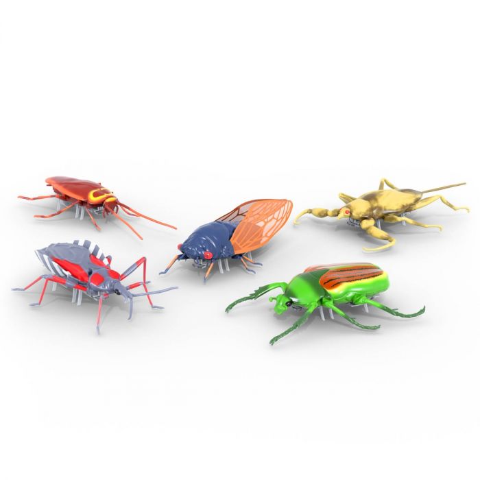 Spin Master-Hexbug Nano Real Bugs-6068918-Legacy Toys
