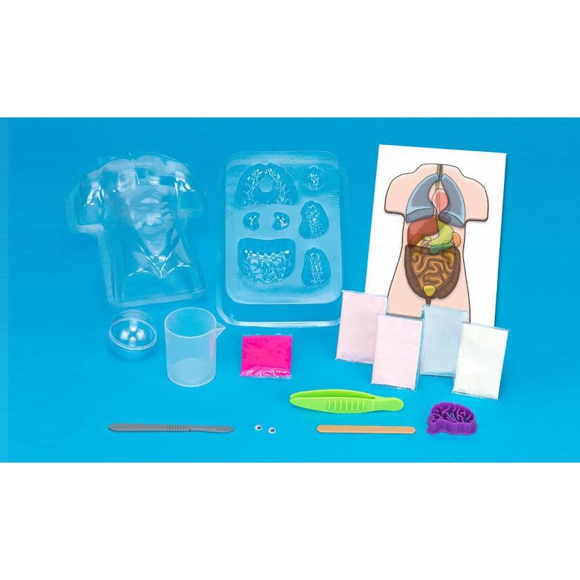 Thames & Kosmos-Gross Anatomy: Make-Your-Own Squishy Human Body-550032-Legacy Toys