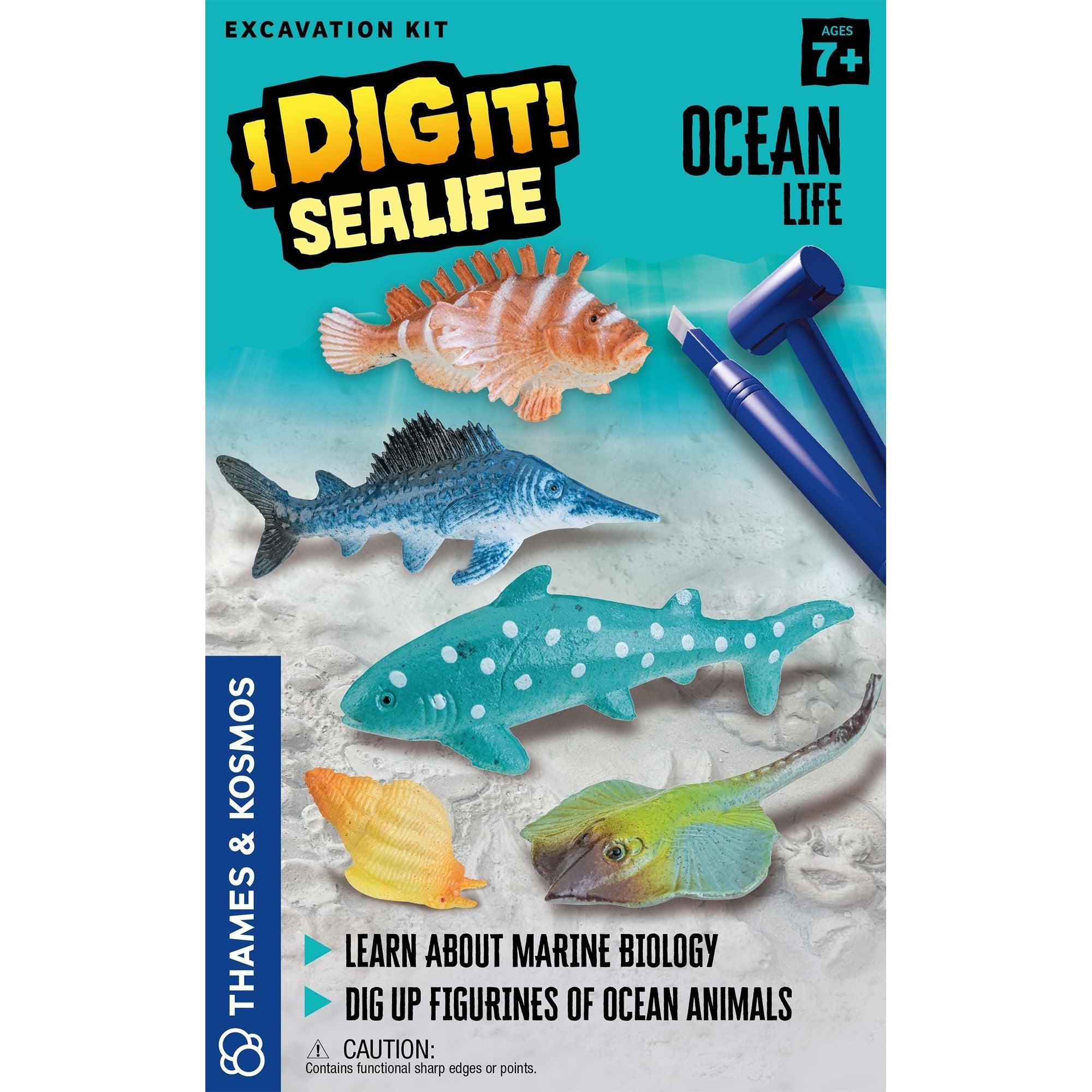 Thames & Kosmos-Thames & Kosmos I Dig It! Sealife - Ocean Life-657537-Legacy Toys